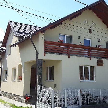 Pensiunea Casa Stet Toader Iulian Săpînţa Exteriör bild