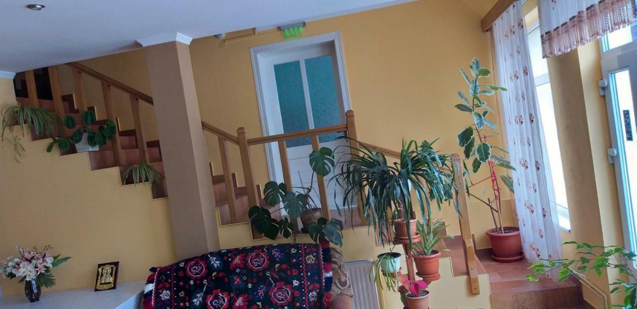 Pensiunea Casa Stet Toader Iulian Săpînţa Exteriör bild